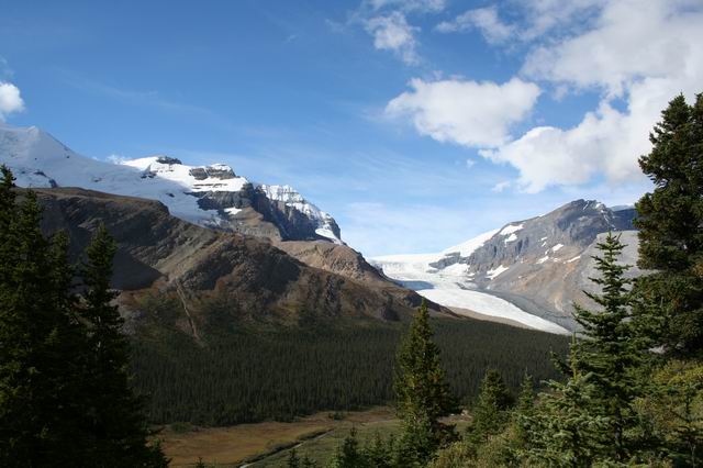 Athabaska Glacier & Peak from near camp
